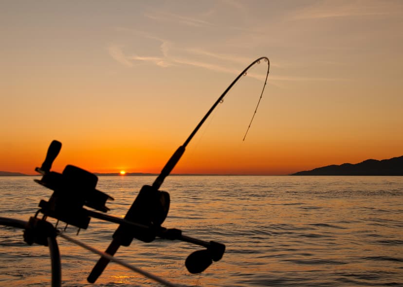 Fishing - Commercial Marine Professionals